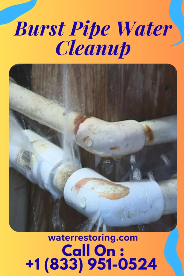 Burst Pipe Water Cleanup in Falling Spring, WV