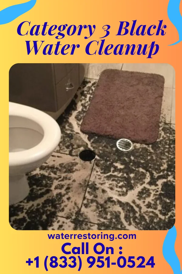 Category 3 Black Water Cleanup in Falling Spring, WV