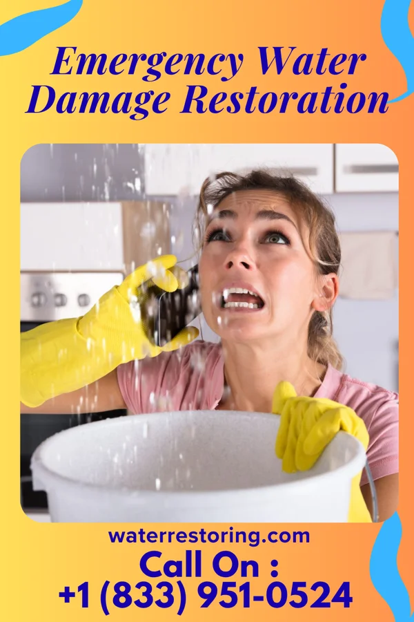 Emergency Water Damage Restoration in Falling Spring, WV