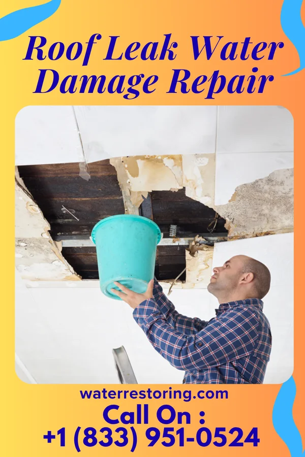 Roof Leak Water Damage Repair in Falling Spring, WV