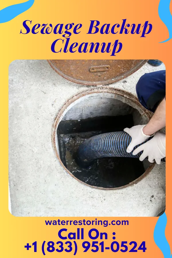 Sewage Backup Cleanup in Falling Spring, WV