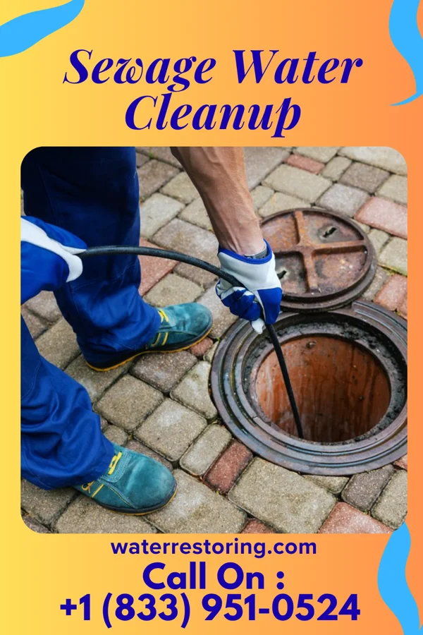 Sewage Water Cleanup in Falling Spring, WV
