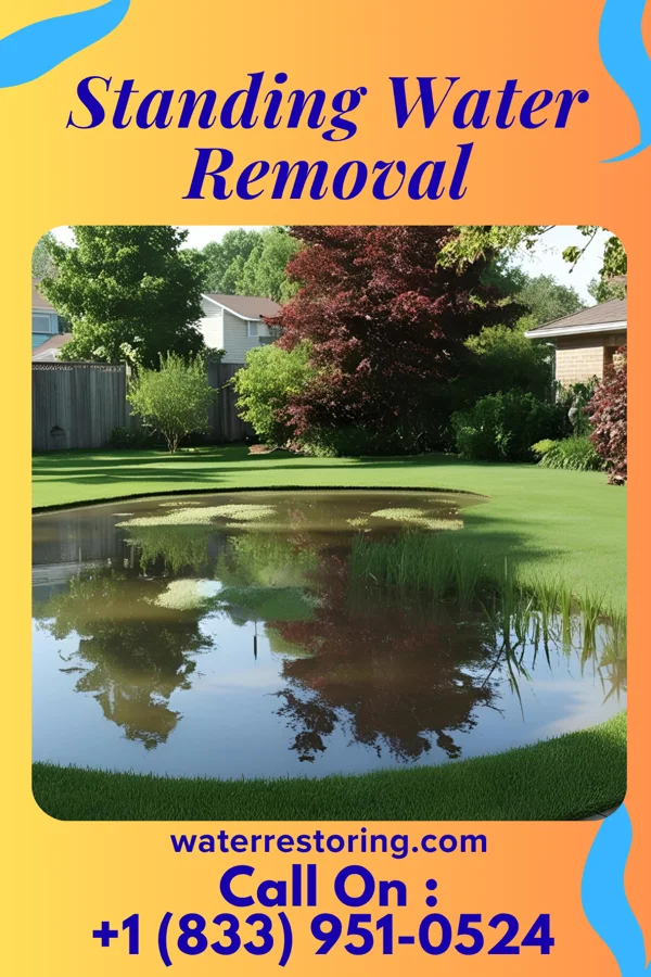 Standing Water Removal in Falling Spring, WV